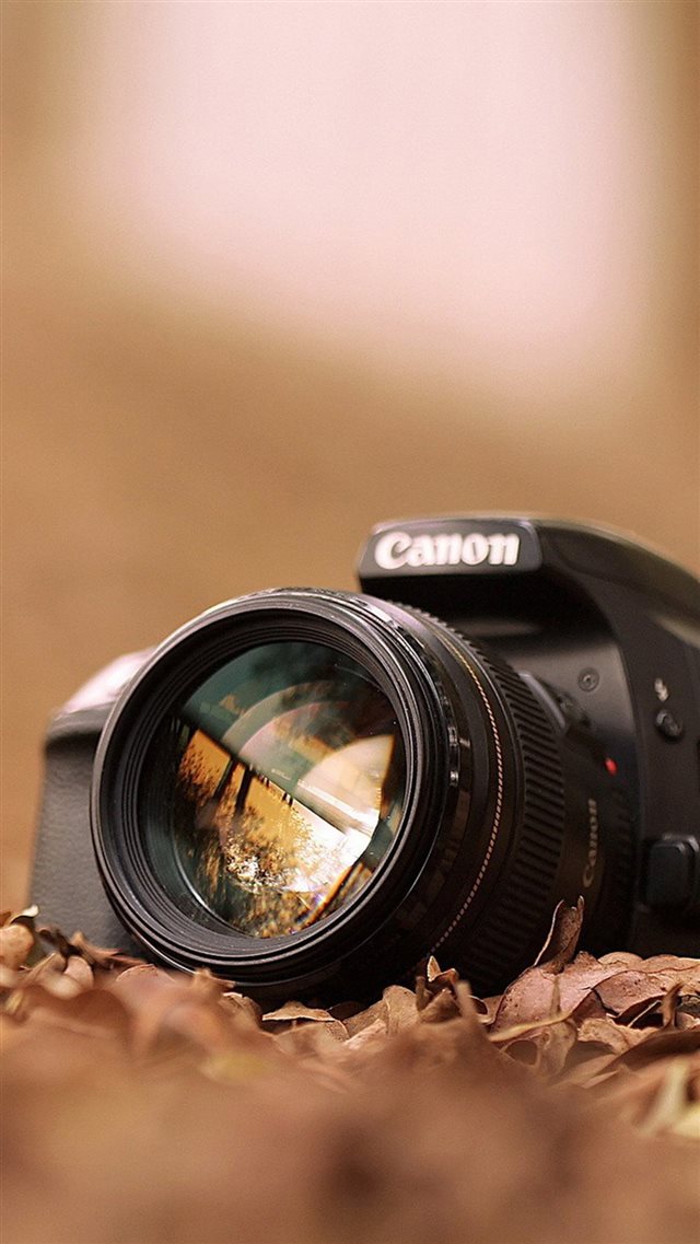 Canon Camera Macro Fall Leaves iPhone 8 wallpaper 