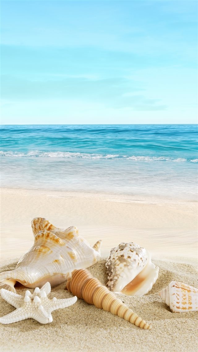 Nature Sunny Sea Shell Beach iPhone 8 wallpaper 