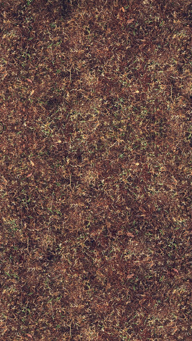 Wither Orange Grass Texture Pattern Background iPhone 8 wallpaper 