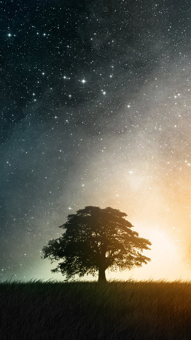 Night Hill Top Lonely Tree Vast Starry Skyscape iPhone 8 wallpaper 