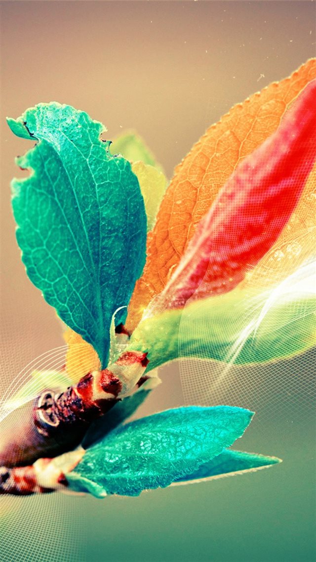 Beautiful Colorful Bud Leaf Branch Silk Line Art iPhone 8 wallpaper 
