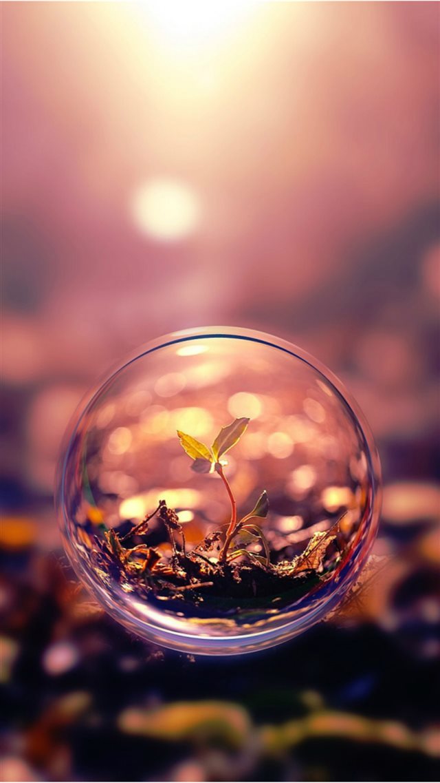 Beautiful Macro Photography Plant Water Bubble iPhone 8 wallpaper 