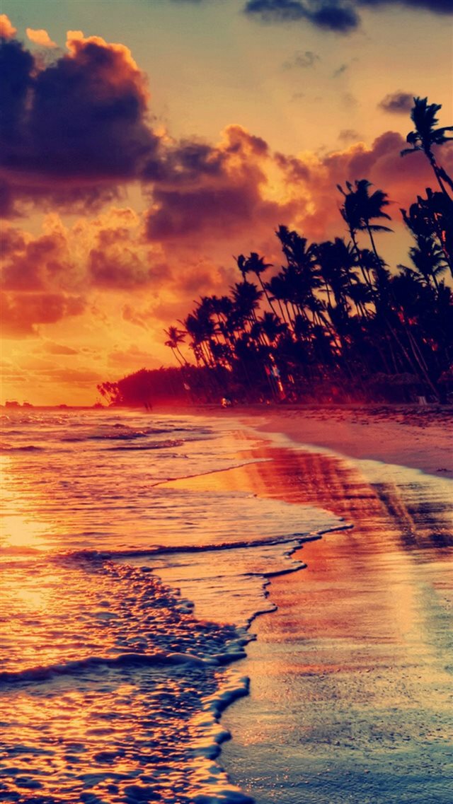 Nature Fire Sunset Beach iPhone 8 wallpaper 