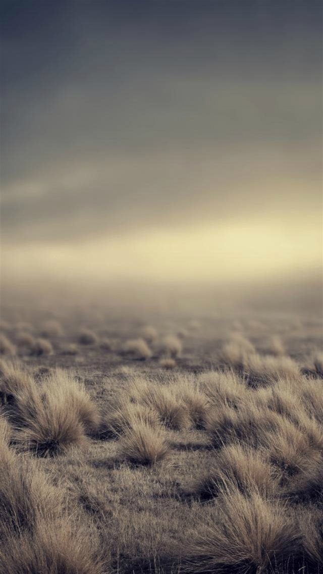 Nature Vast Desolation Grassland Landscape iPhone 8 wallpaper 