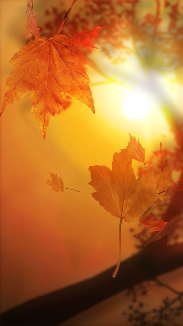Nature Autumn Sunset Yellow Leaves Flyiing Sunshine iPhone 8 wallpaper 