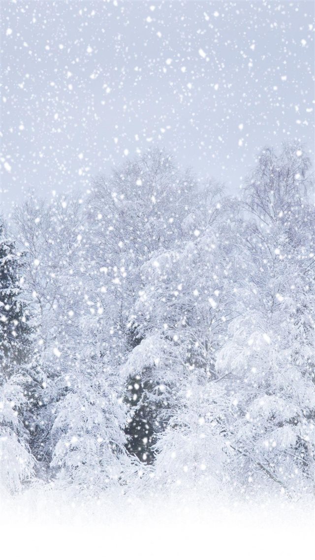 Heavy Snow Forest Landscape iPhone 8 wallpaper 