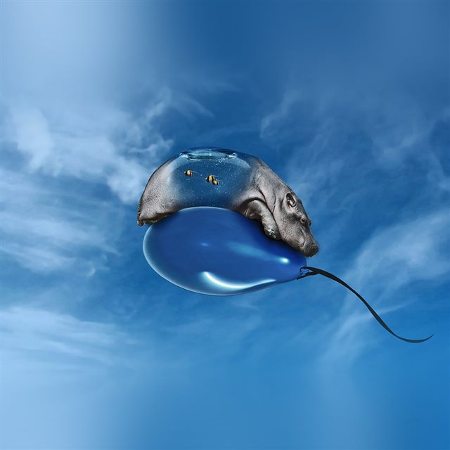 Hippo Bored Ballon Sky Blue Art Illust Animal iPad wallpaper 