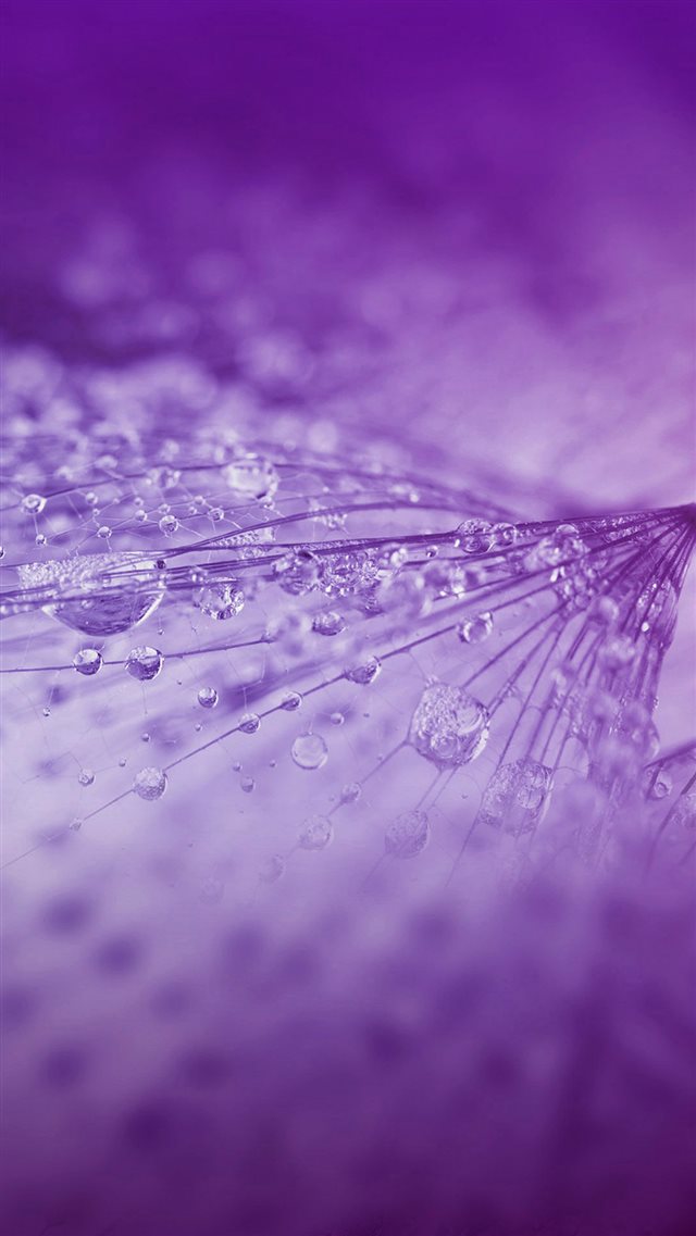 Nature Rrain Drop Flower Purple Pattern iPhone 8 wallpaper 