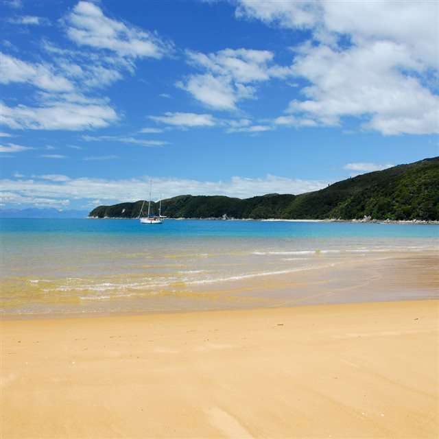 Sunny Tasman Seaside Beach Landscape iPad wallpaper 