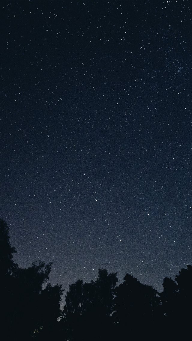 Starry Night Sky Star Galaxy Space Dark iPhone 8 wallpaper 