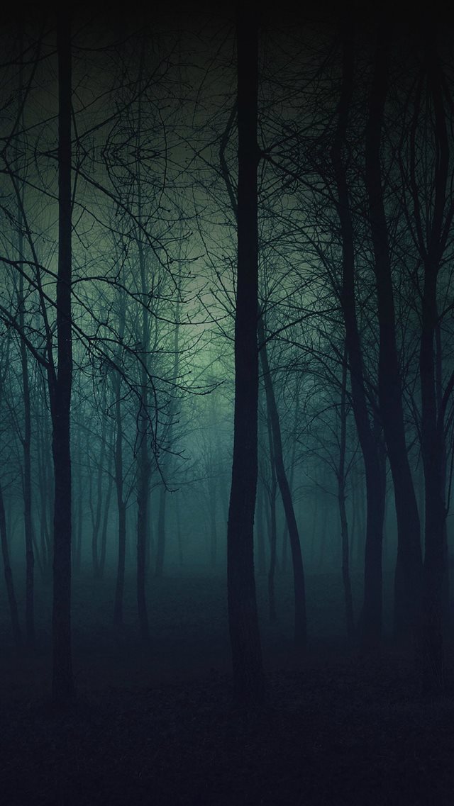 Eerie Forest Night iPhone 8 wallpaper 