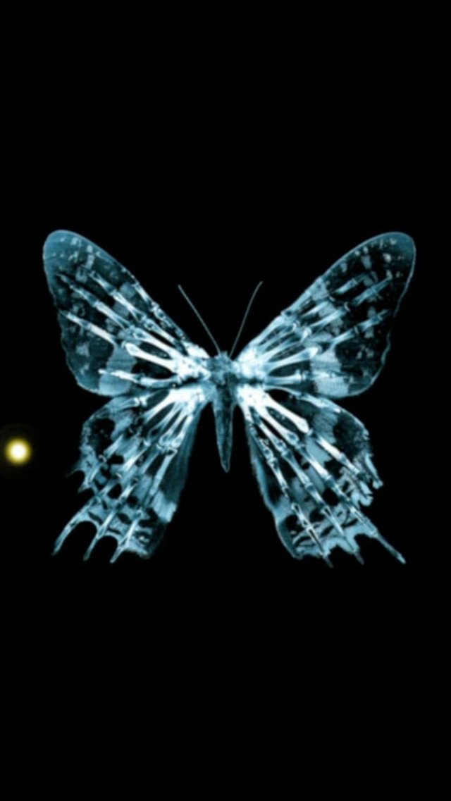 Dark Shiny Light Transparent Butterfly Art iPhone 8 wallpaper 