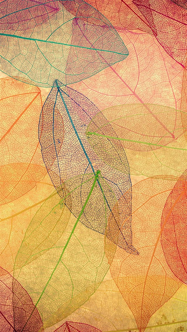 Rainbow Color Leaf Art Fall Nature Pattern iPhone 8 wallpaper 
