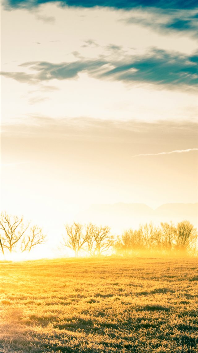 Vast Bright Golden Wither Grass Field iPhone 8 wallpaper 