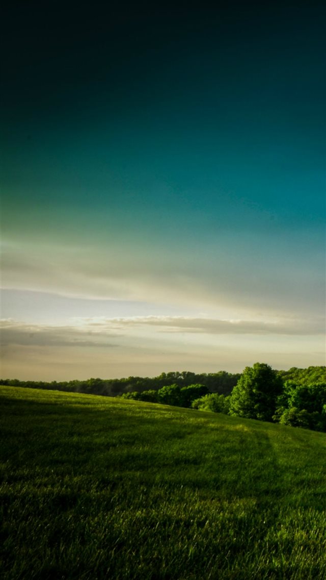 Calm Broaden Wild Grass Hill Field Scenery View iPhone 8 wallpaper 