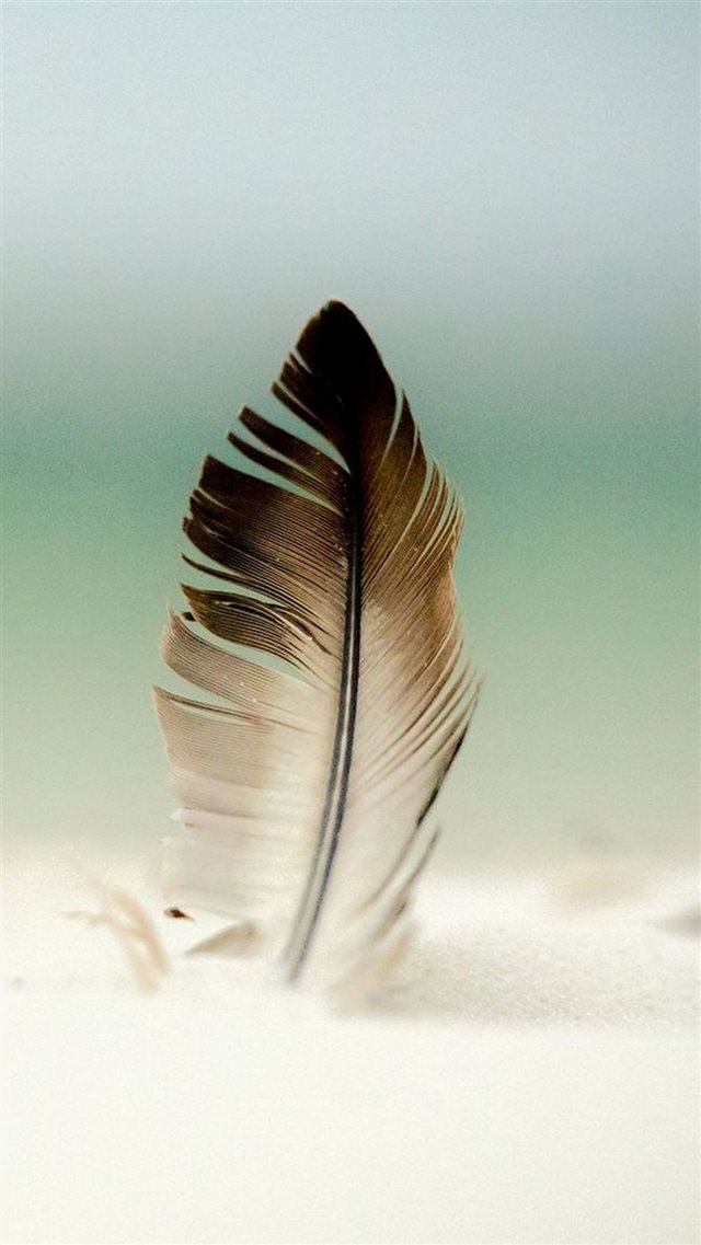 Feather In Sand  iPhone 8 wallpaper 