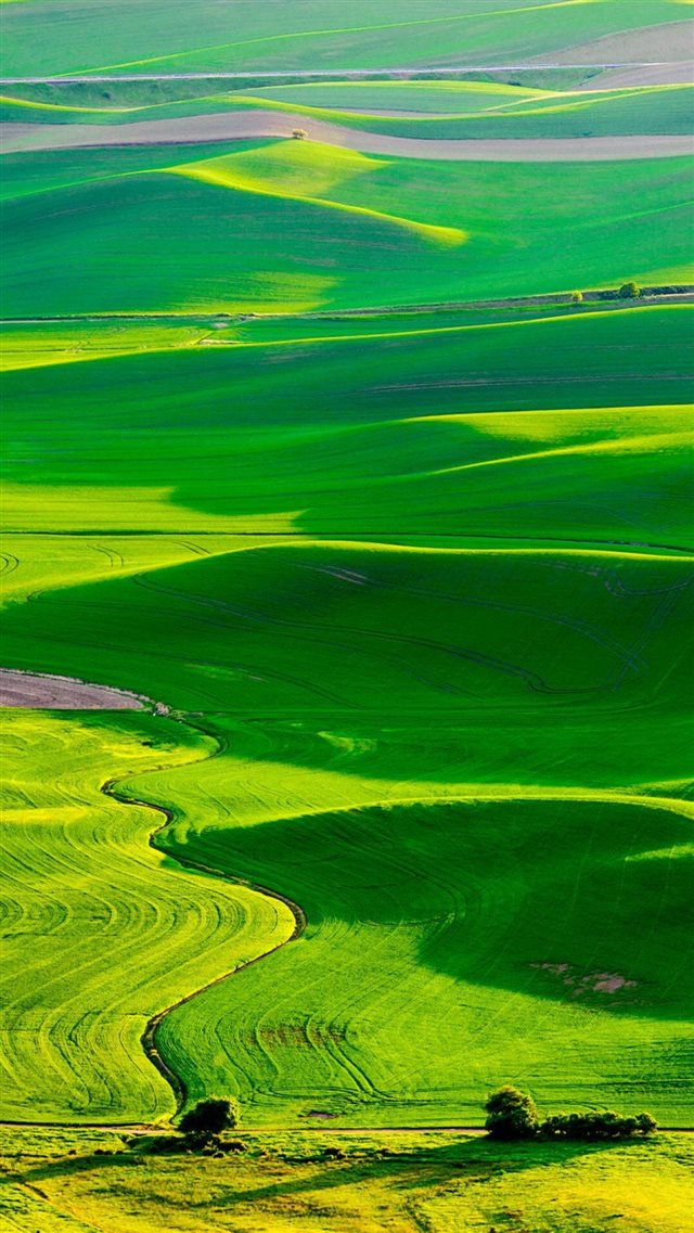 Nature Fresh Grassland Landscape iPhone 8 wallpaper 