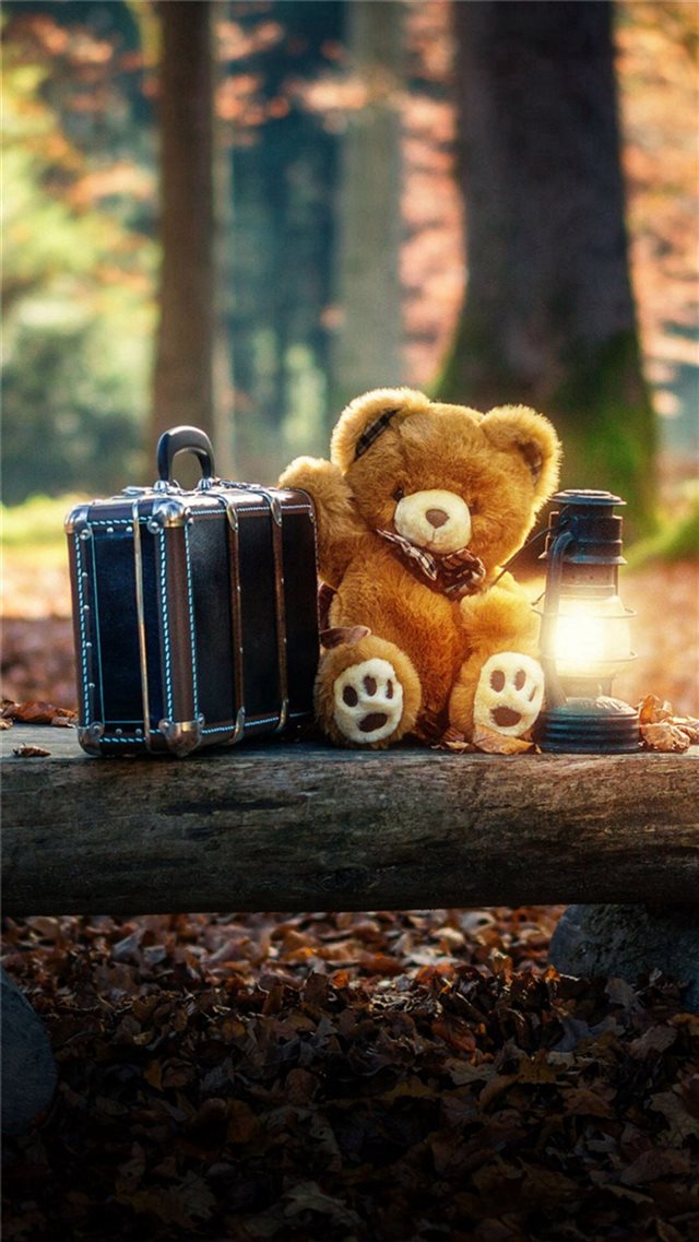 Forest Cute Bear Suitcase Lovely iPhone 8 wallpaper 