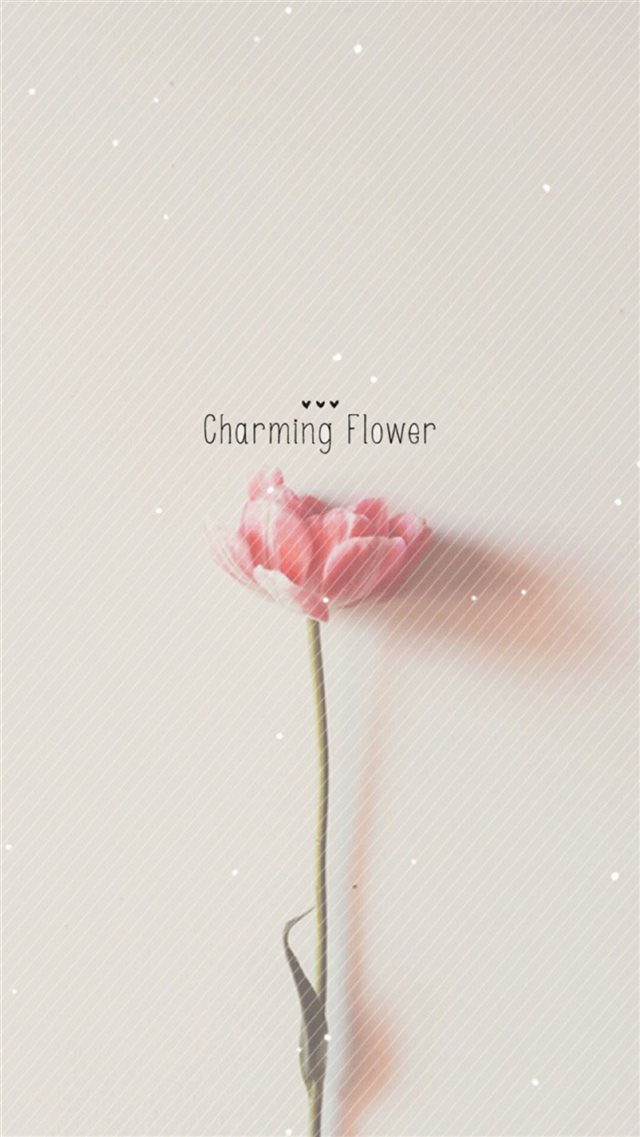 Pure Charming Flower Simple Pattern iPhone 8 wallpaper 