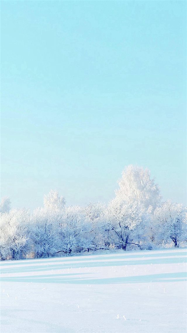 Pure Winter Static Snow Field White World iPhone 8 wallpaper 