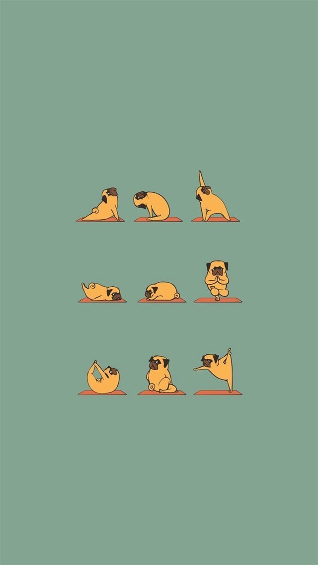 Funny Pug Doing Yoga  iPhone 8 wallpaper 