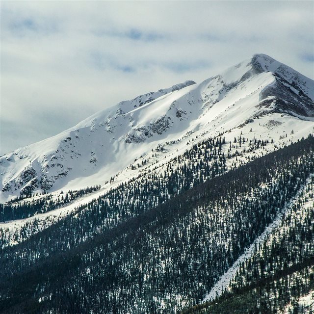 Snow Landscape Mountain Winter Wonderful iPad wallpaper 