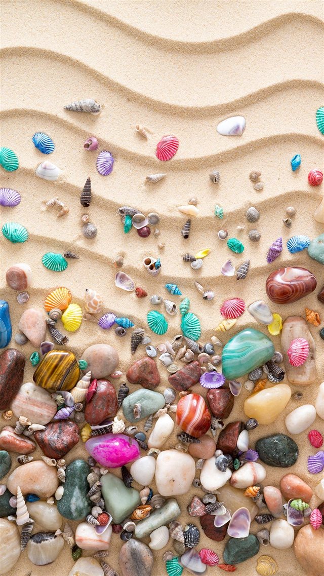 Colorful Seashell On Sand iPhone 8 wallpaper 