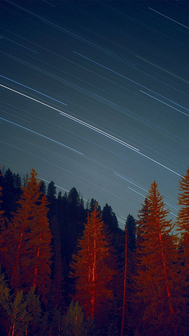 Night Wood Mountain Star Sky Nature iPhone 8 wallpaper 