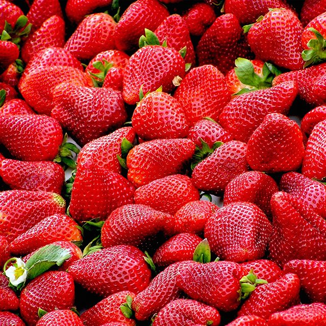 Red Strawberry Fruit iPad wallpaper 