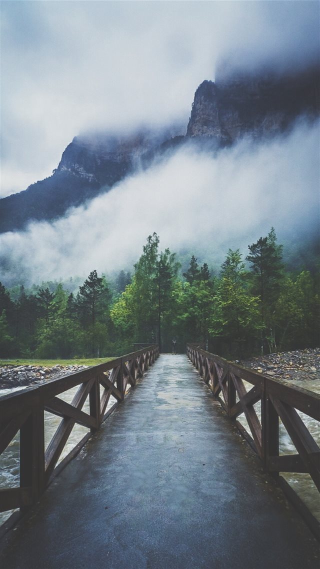 Forest River Crossing Mountain Fog  iPhone 8 wallpaper 
