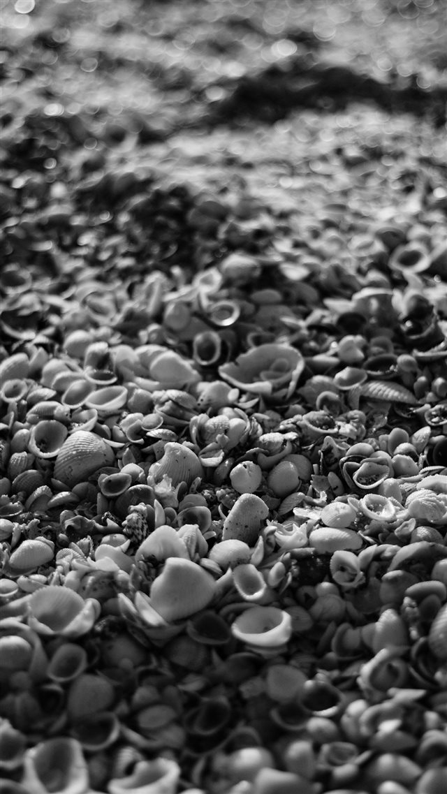 Beach Sand Rock Nature Pattern Bw Dark iPhone 8 wallpaper 