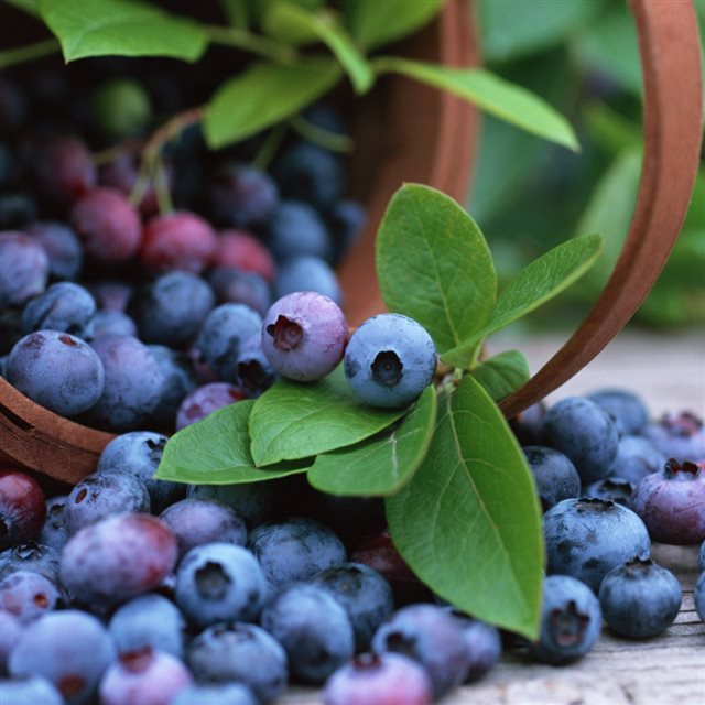 Blueberries Fruit iPad wallpaper 