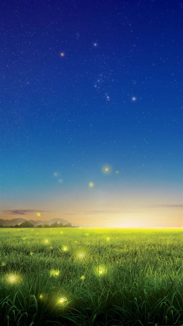 Wonder Night Glowworm Flying Lawn Field iPhone 8 wallpaper 