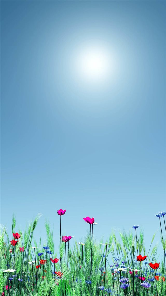 Little Wild Flower Sunshine Bright Scenery iPhone 8 wallpaper 