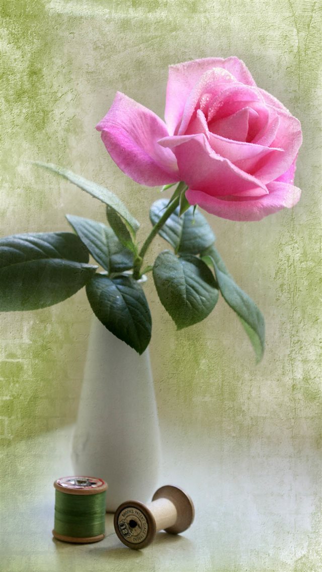 Elegant Pink Rose Vase Ikebana Art iPhone 8 wallpaper 