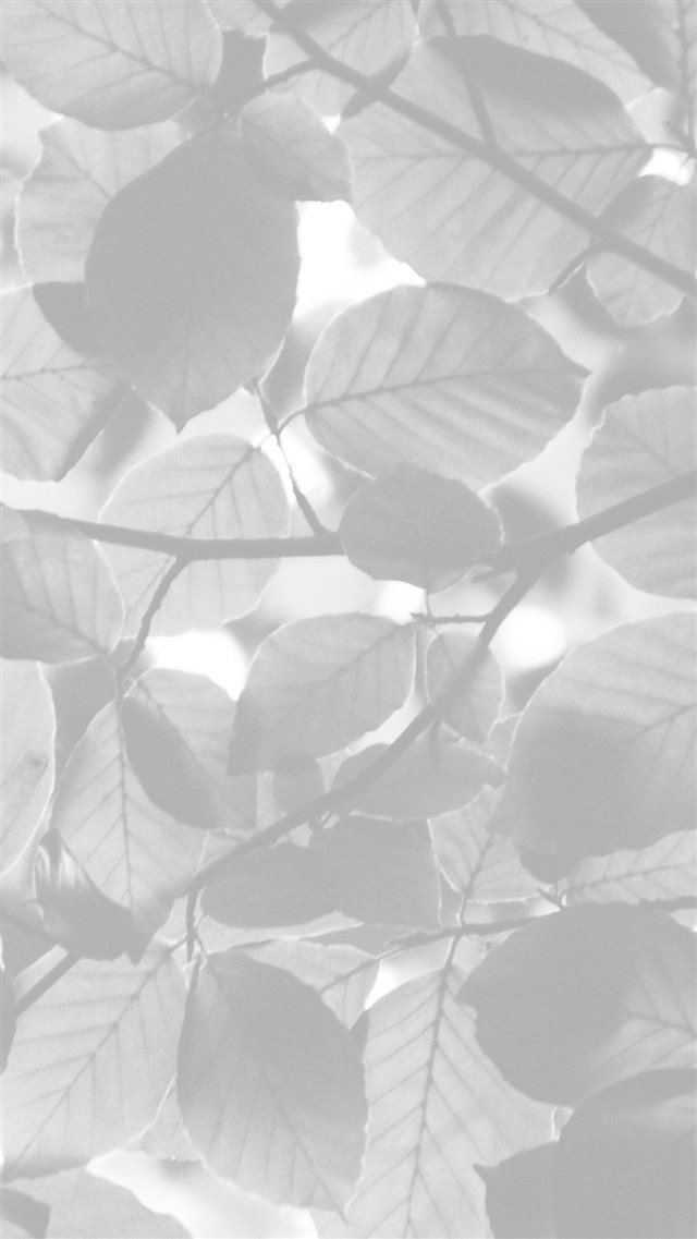 Tree Blossom Nature Leaf Green White Bw iPhone 8 wallpaper 