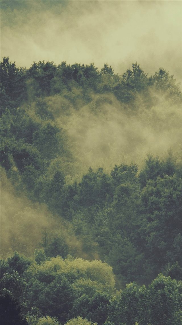 Forest Wood Fog Nature Green Mountain iPhone 8 wallpaper 