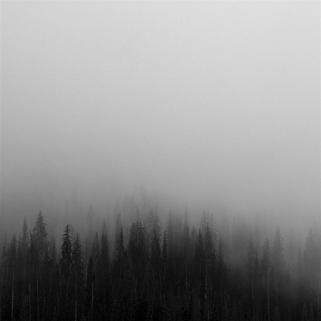 Fog Minimal Mountain Wood Nature iPad wallpaper 