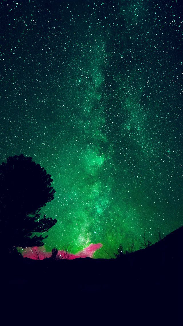 Aurora Night Sky Star Space Nature Green iPhone 8 wallpaper 