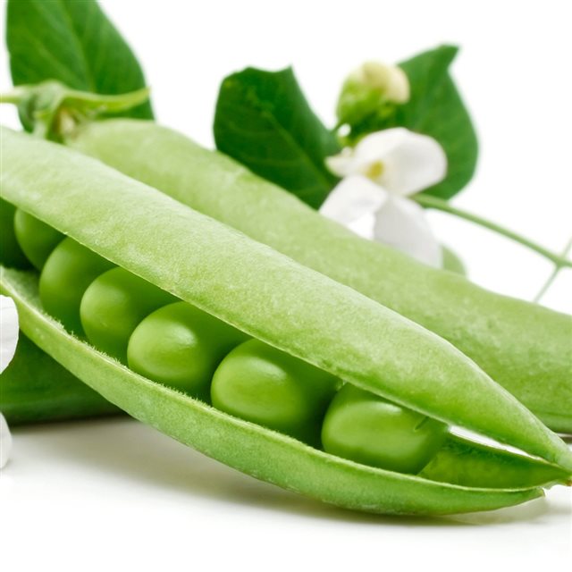 Peas Beans White Background iPad wallpaper 