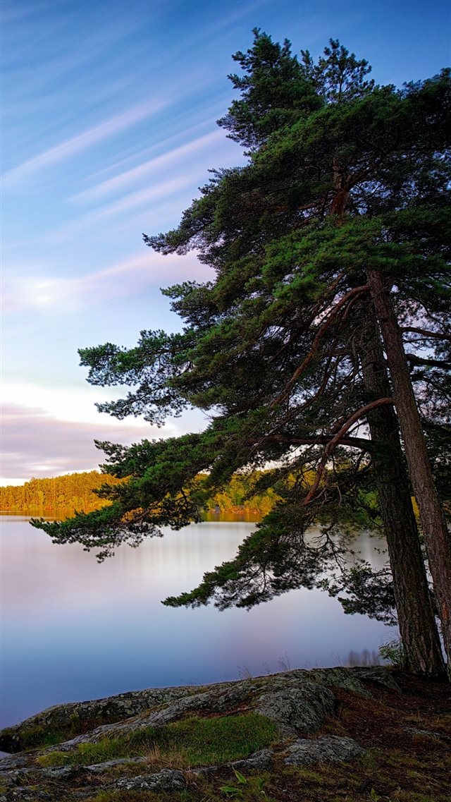 Sweden Lakes Trees iPhone 8 wallpaper 