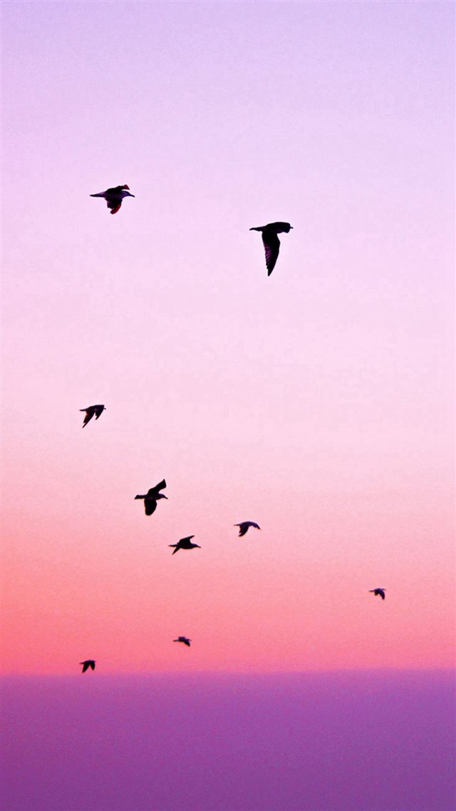 Birds Flying In Purple Sunset iPhone 8 wallpaper 