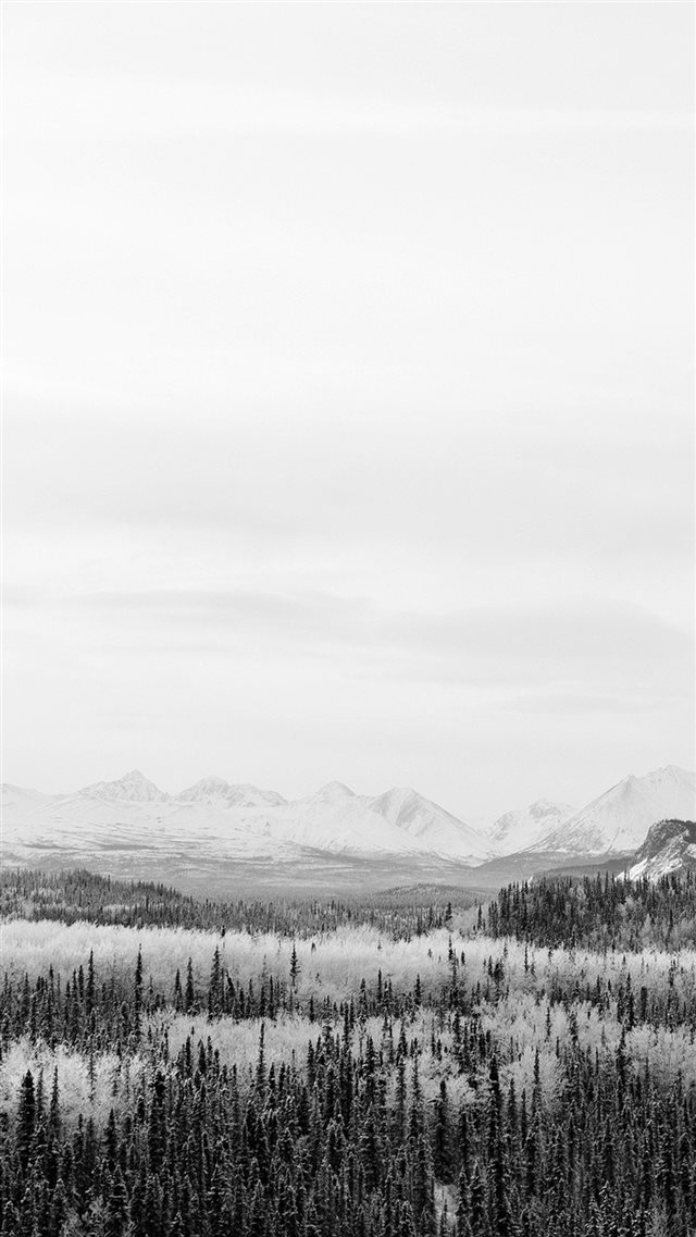 Winter Mountain Wood Nature Snow Bw iPhone 8 wallpaper 