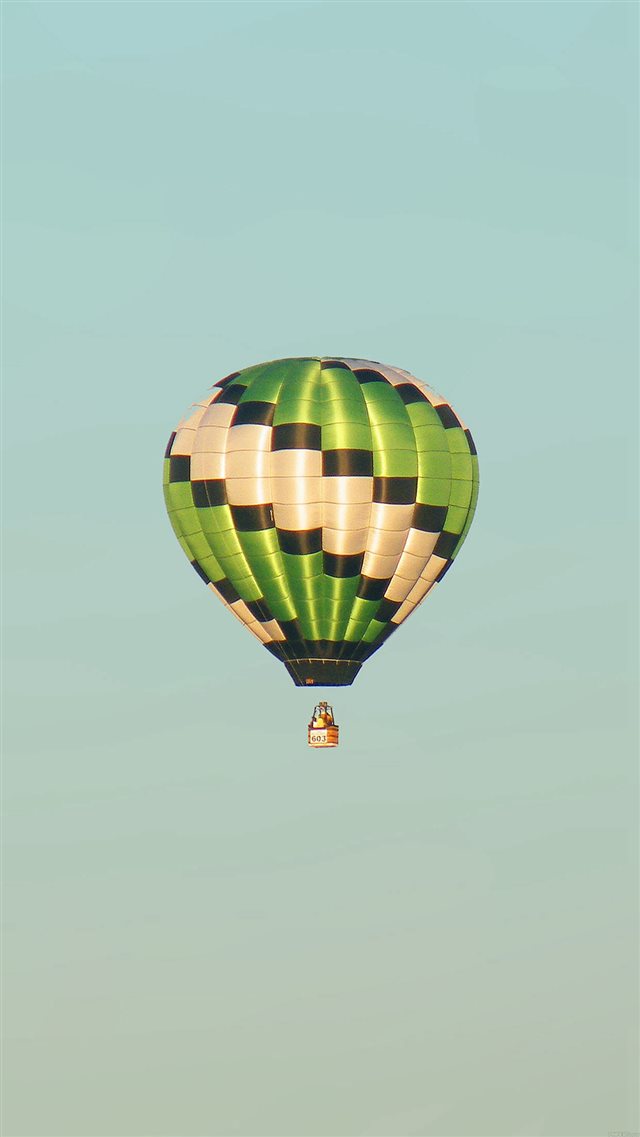 Fly Home Green Air Balloon iPhone 8 wallpaper 