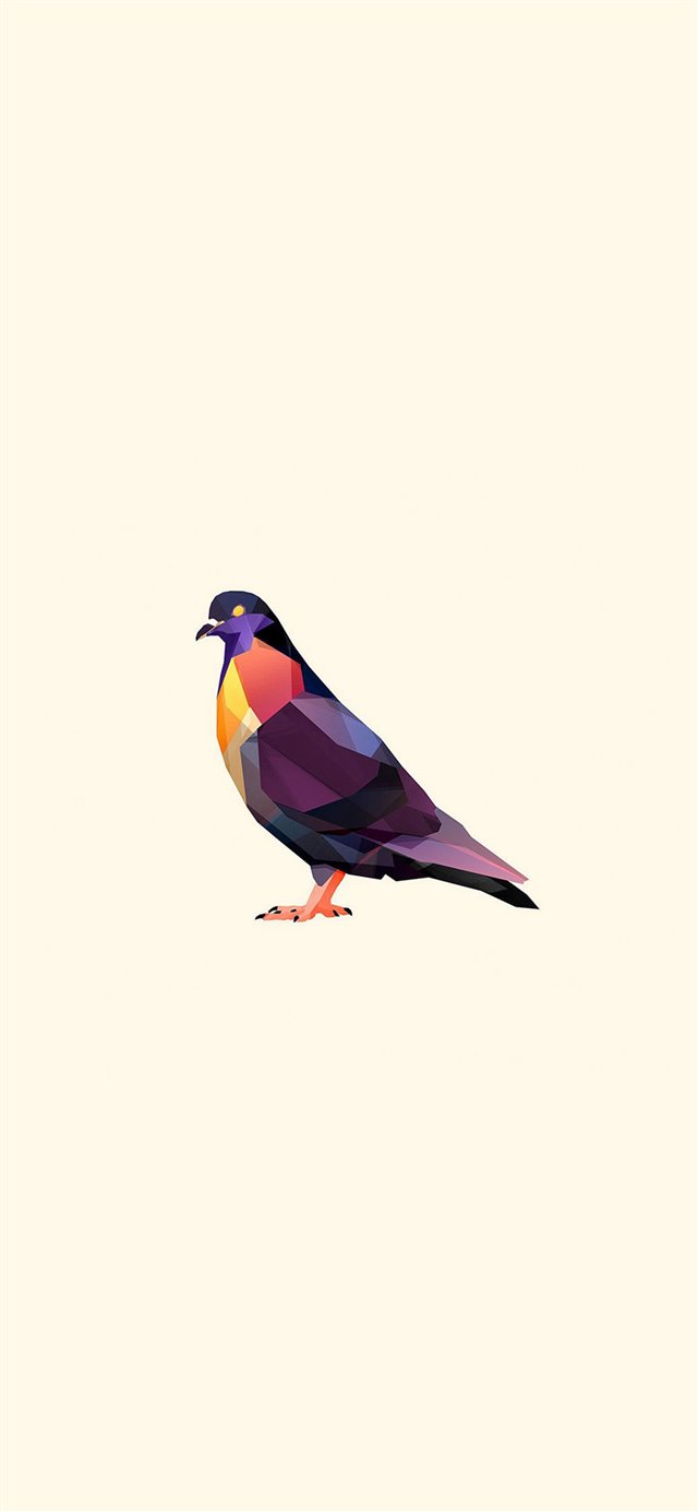 Minimal Pigeon Bird Illust Art iPhone X wallpaper 
