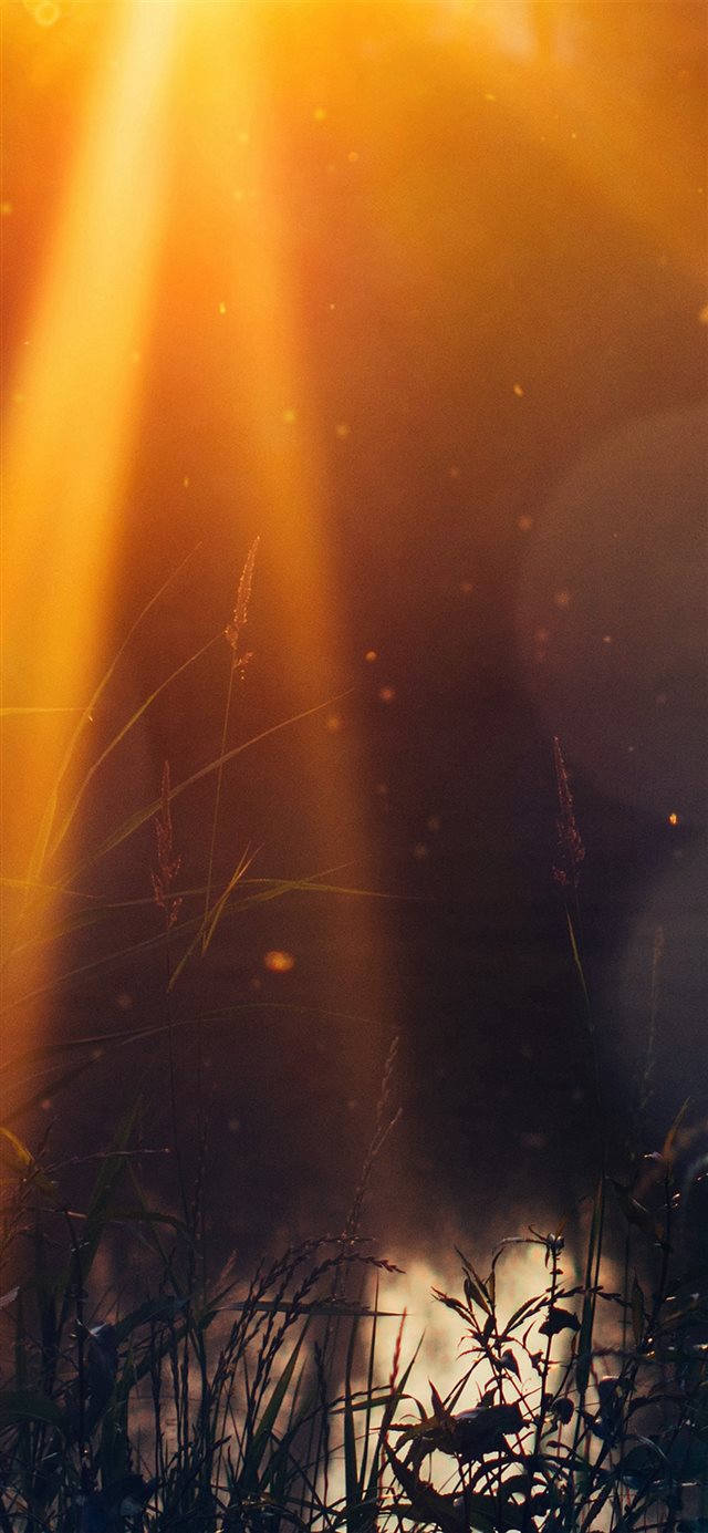 God Light Loves You Nature Flower Lake Flare iPhone X wallpaper 
