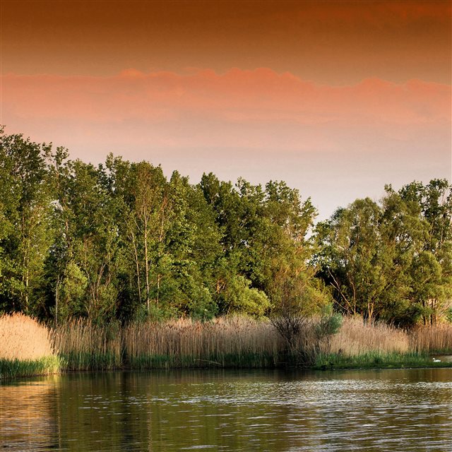 Sunset Lake Grass Trees iPad Pro wallpaper 