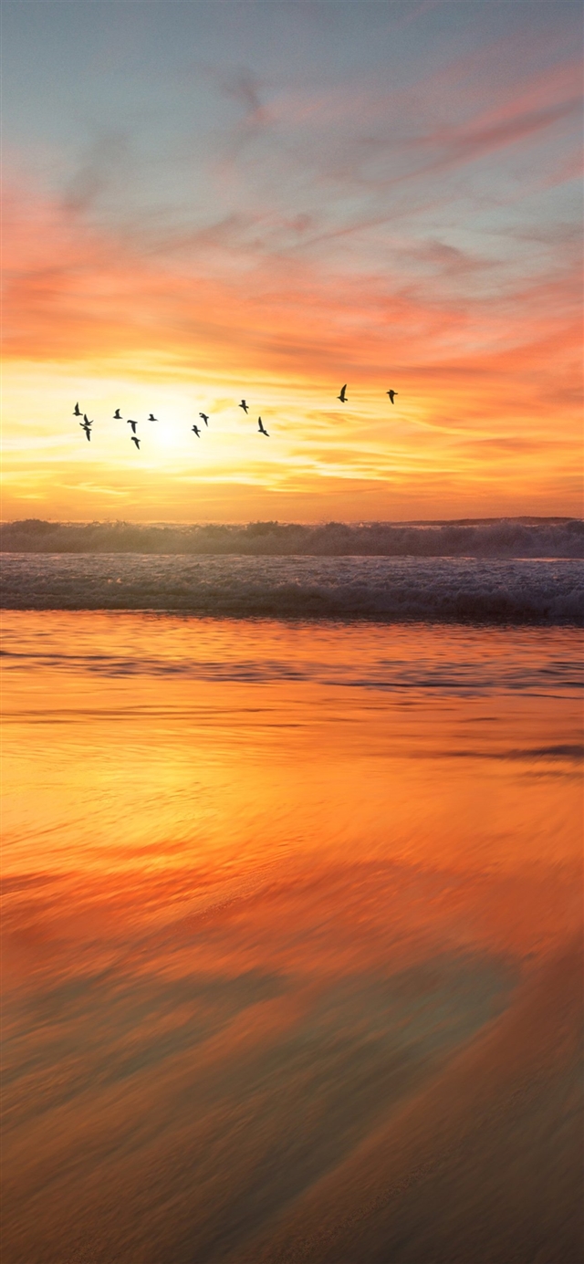 Sunset sea iPhone X wallpaper 