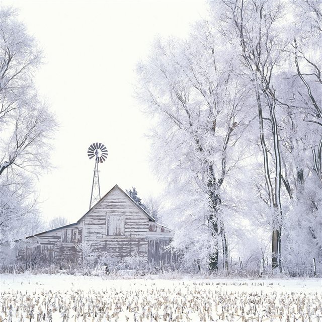 winter snow house hoarfrost trees canes iPad Pro wallpaper 