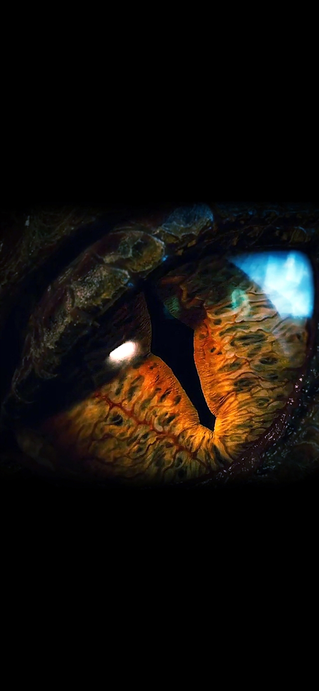 Eye dragon film hobbit iPhone X wallpaper 